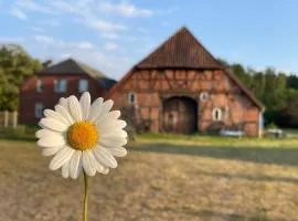 Ferienwohnung Elbsegler