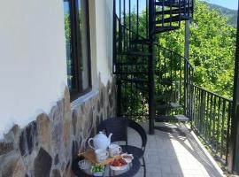 Guest House Bochora, semesterhus i Borjomi