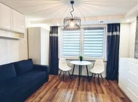 APARTAMENCIK "W KLIMACIE" - Apartament typu Studio