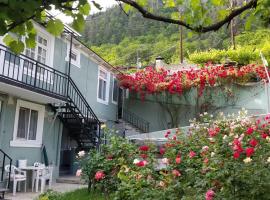 Guest House Green Rose, romantisches Hotel in Bordschomi