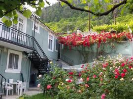 Guest House Green Rose, hotel romántico en Borjomi