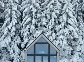 Stodoły Modyń - Domki w Beskidzie Wyspowym - staw kąpielowy, balia, sauna, grota solna - widok na góry