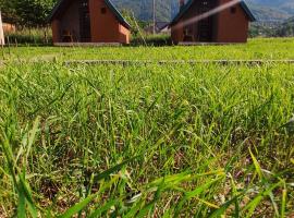 Rest&peace homes, holiday home in Mojkovac