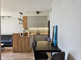 Nadmorski apartament premium