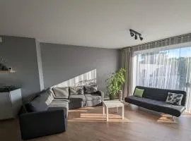 Spacious and sunny apartment in Birstonas center