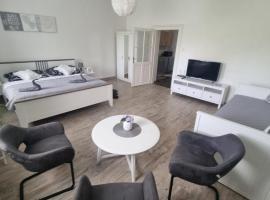 Apartmány Černý Tulipán 4, puhkemajutus Plzeňis