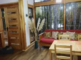 Chalet de montaña en Coñaripe Sector Termas Geométricas "La Escondida"