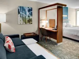SpringHill Suites by Marriott Kansas City Lenexa/City Center