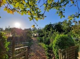 Appartement 3 met terras aan de tuin van Op de Roemte, hotel com piscina em Baflo