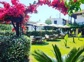 Galini Hotel Agios Ioannis Pelion, hotel u Agio Joani Peliu