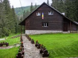 Cabana Patru Brazi