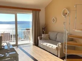 Apartment Araucaria Gallery