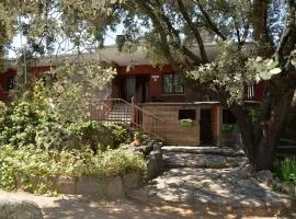 LA CASA DE GALAPAGAR ALOJAMIENTO SIETE PICOS
