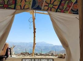 Campo de Cielo Mamalluca Valle de Elqui、ビクーニャのグランピング施設