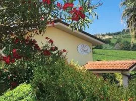 Il Vigneto Country House