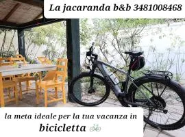 Domo La Jacaranda