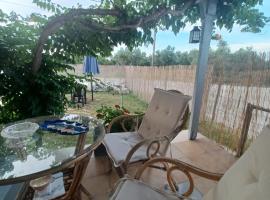 Olive holiday home, villa in Laganas