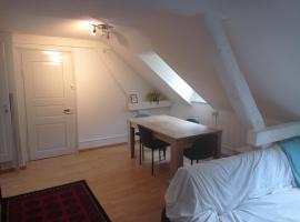 Gemütliche Dachwohnung, Privatzimmer in St. Gallen