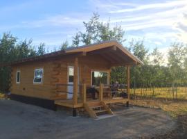 Oma's and Opa's Northern Lights Viewing Cabin – hotel dla rodzin w mieście Upper Laberge