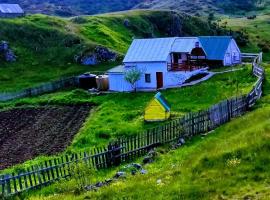 Weekend house in the Piva nature park, villa in Pluzine