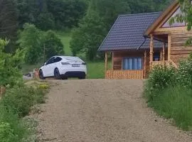 Căsuța de la munte
