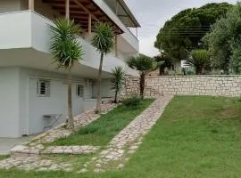 Panoramic view