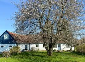 Nice Home In Simrishamn With Wifi And 5 Bedrooms