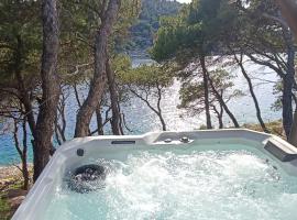 Apartment by the sea Žirje with private heated hydromassage pool，日列島的飯店