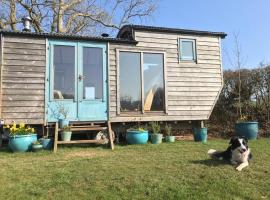 Secluded Shepherds Hut, with a view and hot tub, cheap hotel in Ashburton