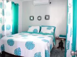 Apartamento entero en Samaná Los tios