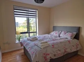 Clearwater Apartment