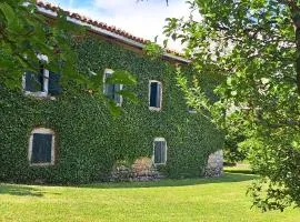 Old house Nilovic