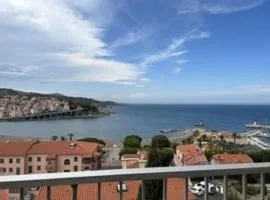 Appartement Banyuls-sur-Mer, 2 pièces, 6 personnes - FR-1-225C-530