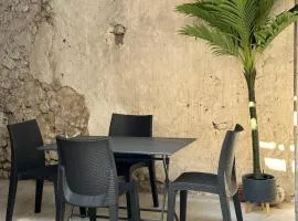 Superbe Appart' Terrasse plein centre