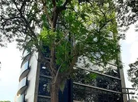 Departamento con excelente ubicación