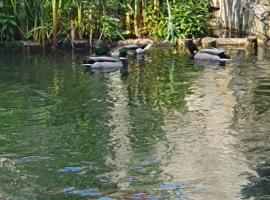 Les berges du moulin, szállás Ensisheimben