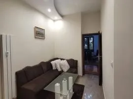 Luxury apartment Sofia top centre