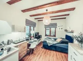 Apartament pod brzozami -Tomaszkowo