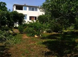 Apartment Prvic Sepurine II