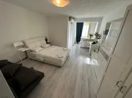 grenn apartment 478