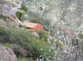 Casa Cueva El Pedregal Tejeda، فندق في تيخيدا