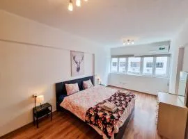 CityCenter Apartment