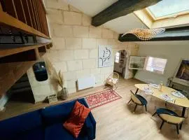 Duplex de charme 80m2 au coeur d'Arles, 2 chambres