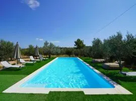 Olive Grove Rock Villa