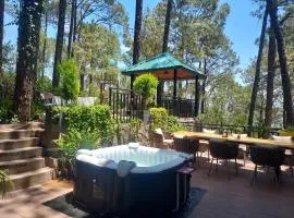 Alpviram Villa, 4 Bhk En-suite villa with elevator