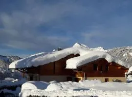 Chalet Le Wapiti, aux pieds des pistes, à 200m du village