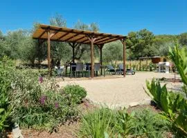 Sea ​​& Olive trees
