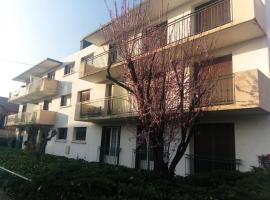 Appartement avec balcon et parking privé, cheap hotel in Roanne