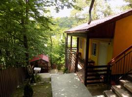 Hegyi-lak vendégház，普列德的飯店