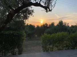 Limenari modern house